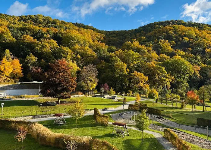 Bed & Breakfast Nuhr Medical - Hotel & Restaurant - Ab 3 Naechte Vom 20 Mai Bis 25 Mai Inklusive Halbpension Mit 4 Gaenge Menue Yoga & Massage - Fuer Buchungen Oder Bei Fragen Kontaktieren Sie Uns Gerne